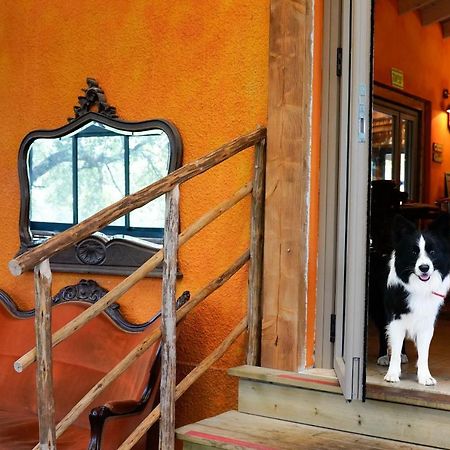 Parod Country Lodge المظهر الخارجي الصورة
