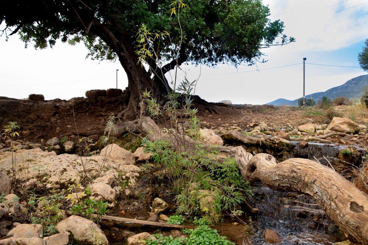 Parod Country Lodge المظهر الخارجي الصورة