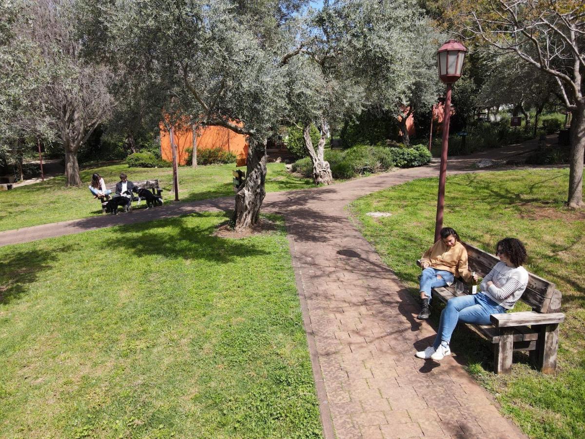Parod Country Lodge المظهر الخارجي الصورة
