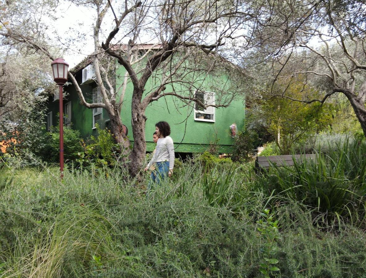Parod Country Lodge المظهر الخارجي الصورة